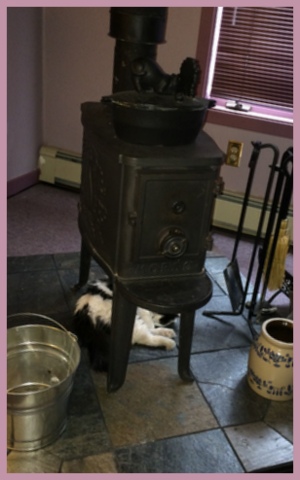 I have to keep convincing the cat that he can't lay under the stove!  He does move when it gets warm, thankfully!