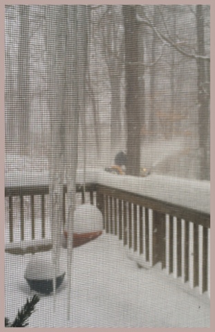 The view from one of my kitchen windows during our last big storm.  My dear husband is on the tractor clearing the driveway.