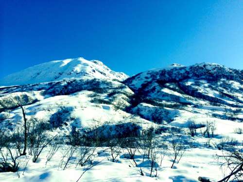 BLUE skies and melting snow!  Hello Spring