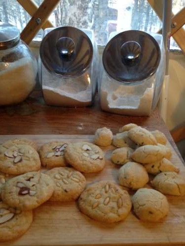 Dairy-free lavender sugar cookies made with home made almond milk, home made almond flour and coconut oil.  Delicious!