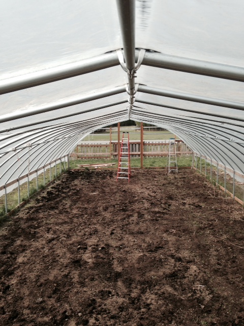 Erecting the high tunnel: appreciating symmetry before getting back to work 