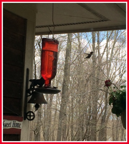 The hummers came early this year.