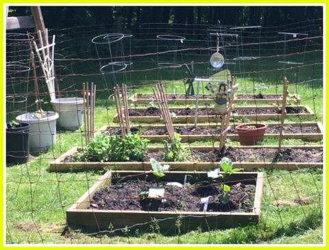 Yum! Eggplant, lettuce, kale, cukes, tomatoes, beans, potatoes, carrots...I can't wait. Off to a good start.