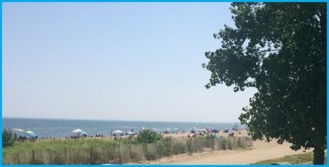 Colorful Umbrellas dotted the beach.