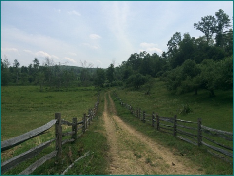 There's so much to see and do at Old Sturbridge Village, and it's so picturesque.