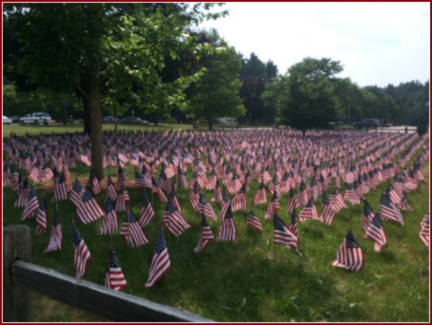 A sea of patriotic flags greets visitors at the entrance.