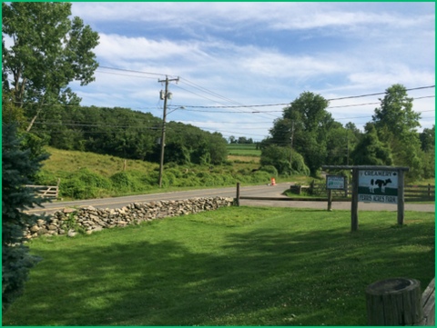 Ferris Acres Creamery is located on a picturesque farm property in Newtown. Cows are seen grazing, and kids play in the grass beyond the ice cream stand.