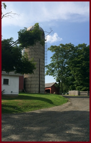 Behind the creamery is the working dairy farm, a piece of true Americana.