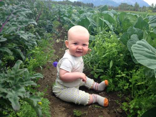 My happy, friendly, little weeding buddy!  She mostly eats soil and gnaws on brassica leaves.