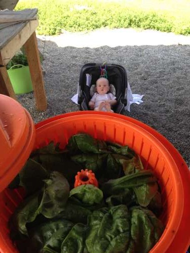 Ava loves the giant salad spinner!