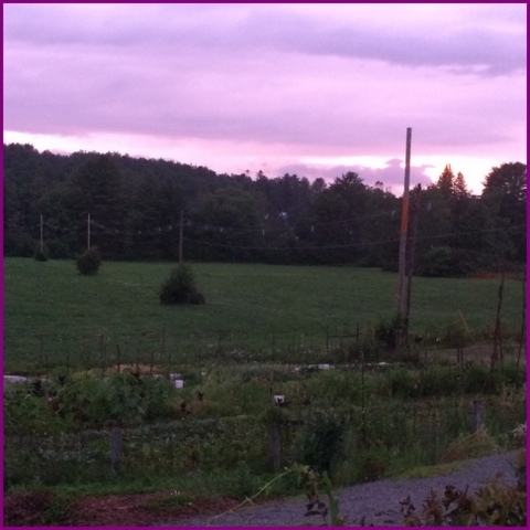 The restaurant serves the produce fresh from their garden in the back.