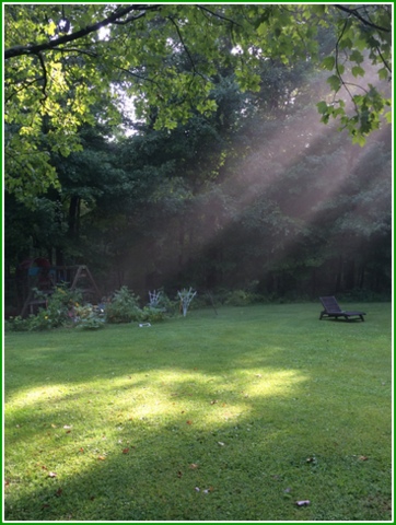 Sunbeams one early morning