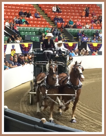 This mother/daughter team was my favorite and a blue ribbon winner!