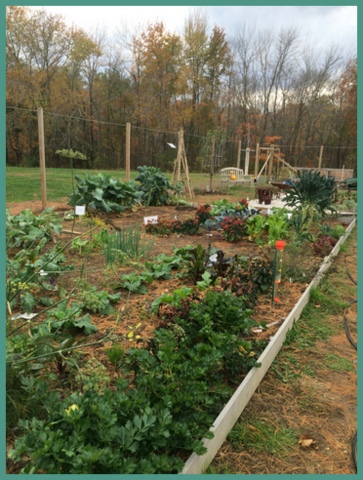 A garden at Fairfield County's Cooperative Extension