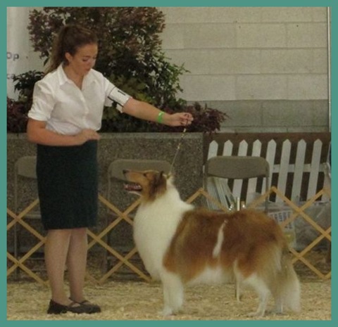 Emily Rogers and her pet in a competition.