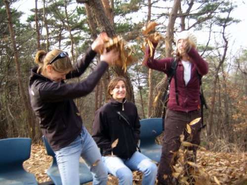 Leaf Fight, Yeoju, South Korea; ca. 2008