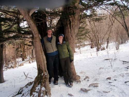 Love in a tree, South Korea; ca. 2010