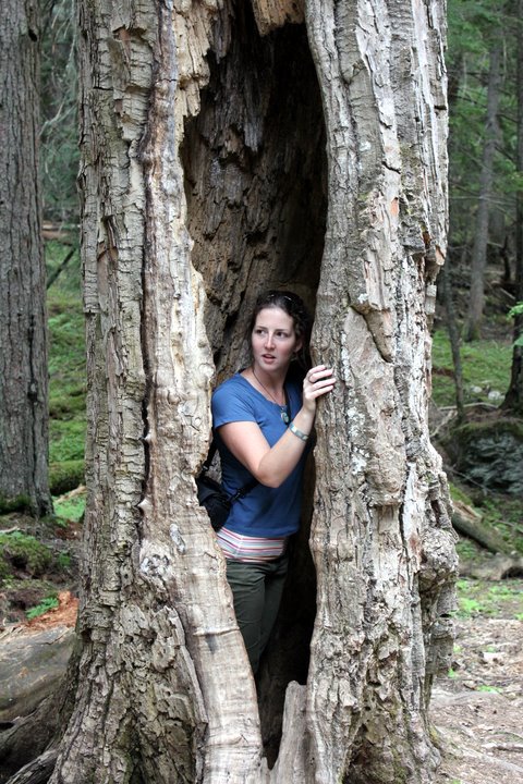 Avalanche Lake, MT, ca. 2010