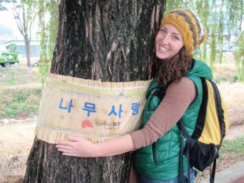 Tree Love, South Korea, ca. 2009