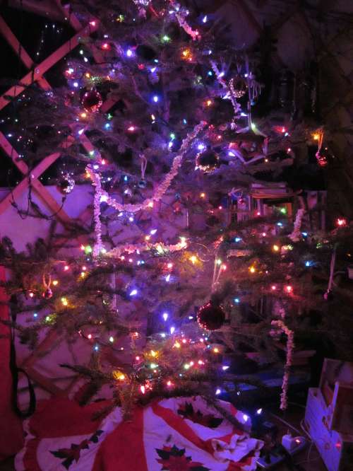 An Okay picture of the tree...I think it looks better in real life!