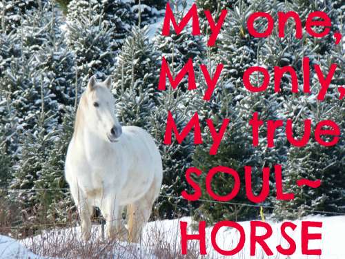 soulhorse