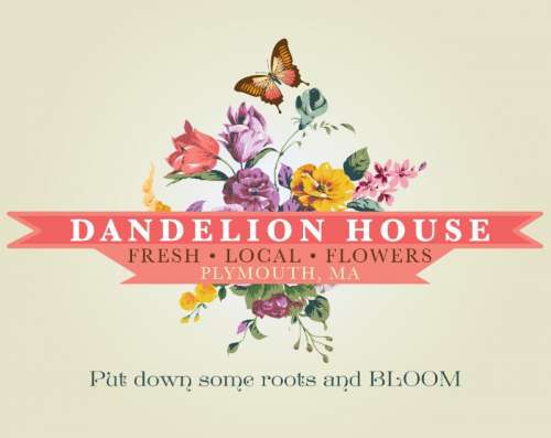 DandelionHouse_logos_v4-BaskervilleCream