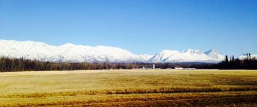 Ummm...that white stuff is really far away!  Snowless view of Spring Creek Farm