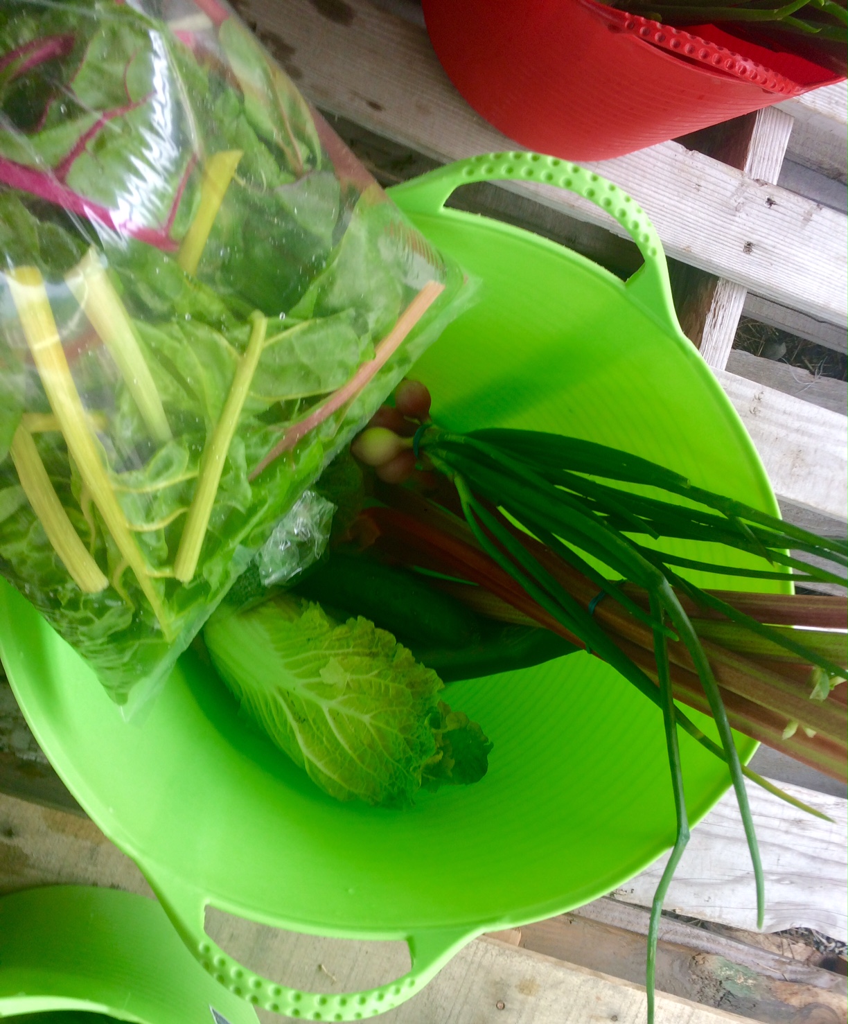 Packing CSA bins for a lucky customer!