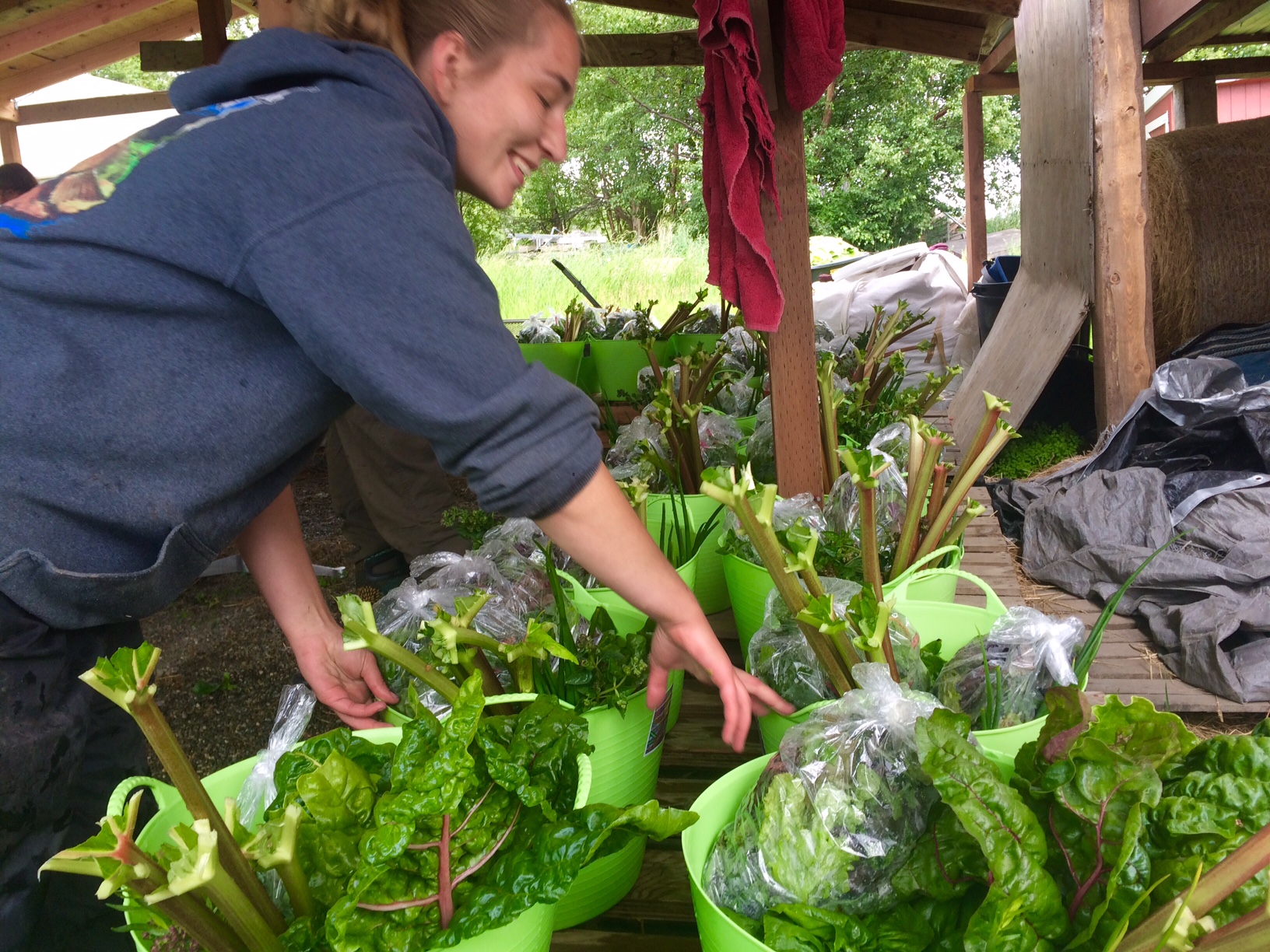 My co-working happily packing bins for our CSA members.