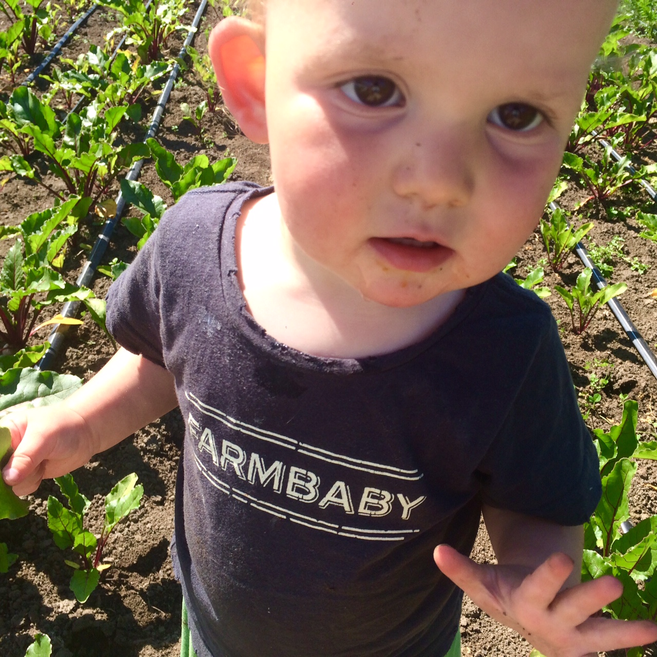 The ever helpful Farm Baby Ava says "HI!"