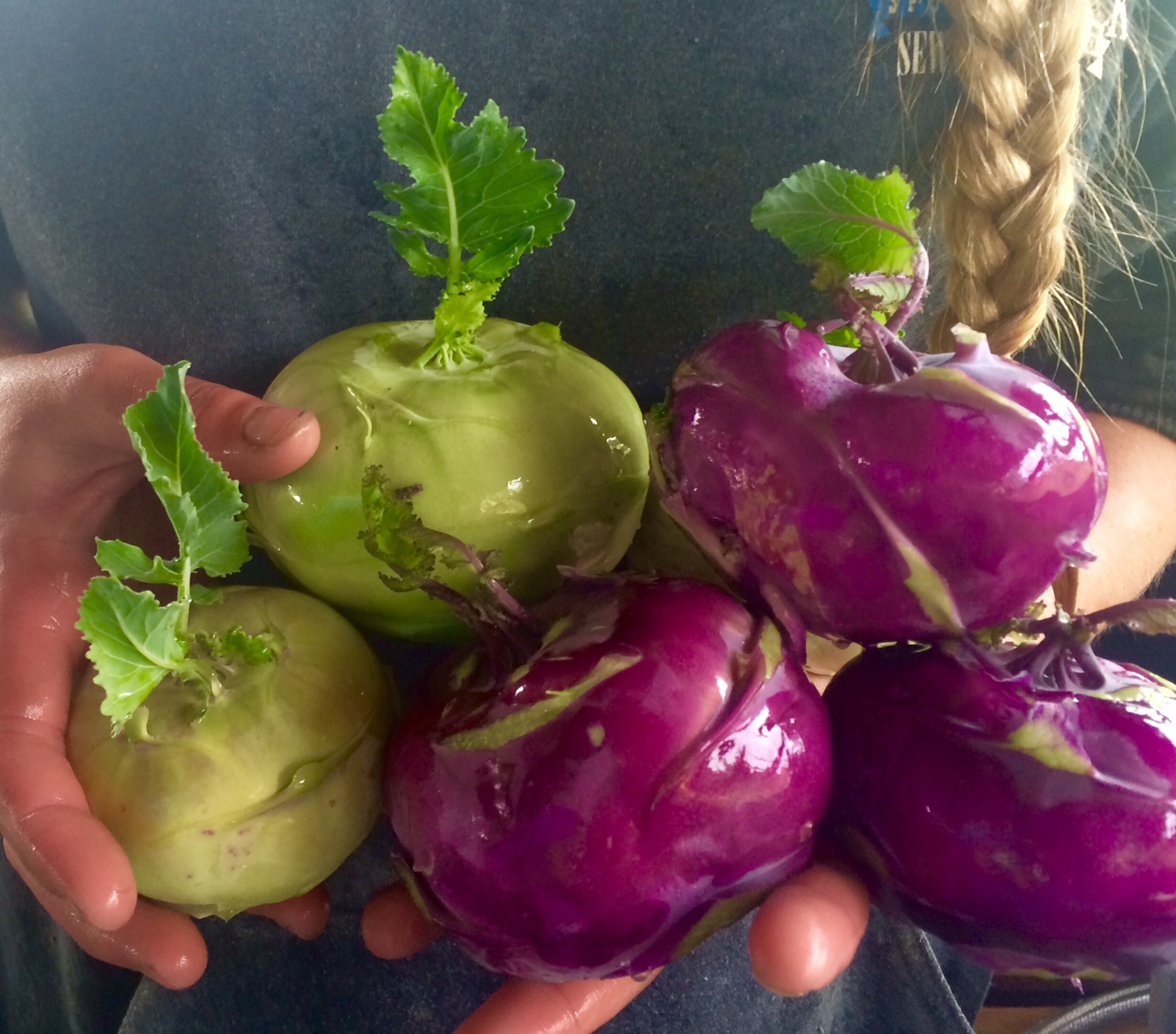 Vibrant kohlrabi! Delicious raw or cooked!