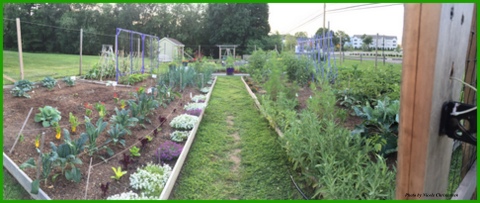 A panoramic view of the Bethel Extension Master Gardener Display Garden, where I have enjoyed volunteering and learning from Master Gardeners. Harvests go to food banks and shelters.