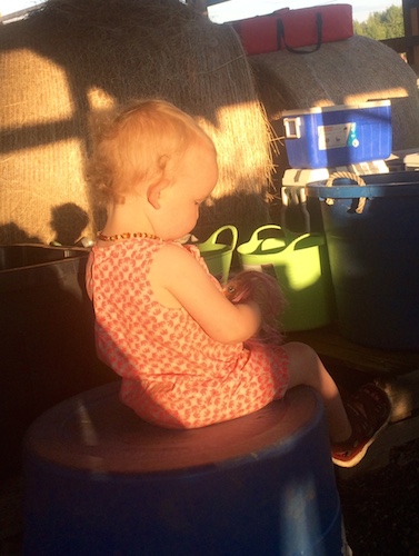 Enjoying the evening sun with a book while the other Farmgirls and I wash and bunch produce.