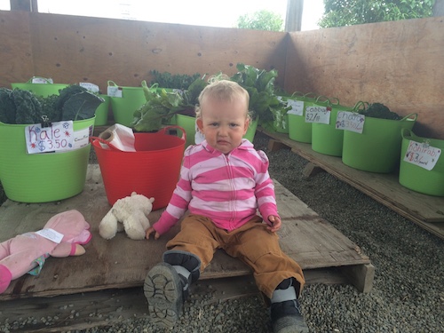 Ava, my willing and...happy?...helper at the Sunday farm stand.  She was all smiles until I asked her to smile for a photo.  She's also a tomato thief! Little stinker! 