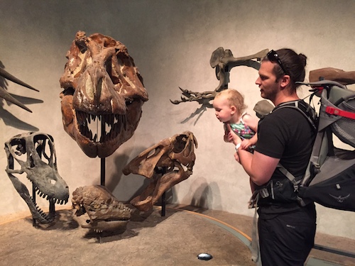 Checking out dinosaurs at the Colorado Museum of Nature and Science.  What big teeth they have!