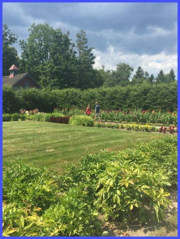 My husband and daughter catch up while walking among the amazing flowers.