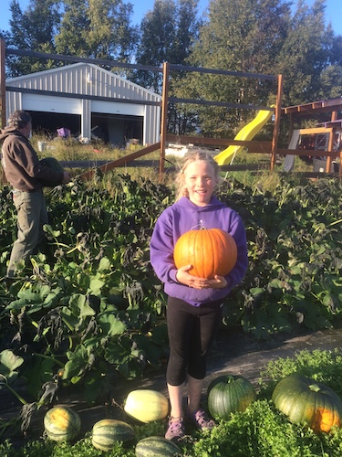 Pumpkin success!