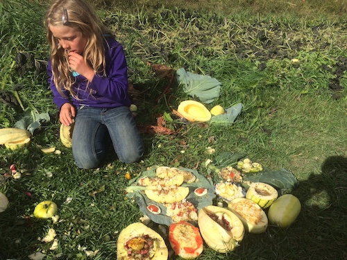 Leila creates some gourmet master pieces out of the spaghetti squash that didn't ripen enough before the big freeze.  The pigs will LOVE it.