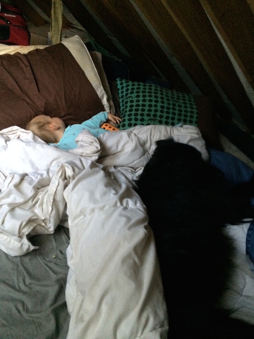 Snoozing away in our messy bed right under the rafters.