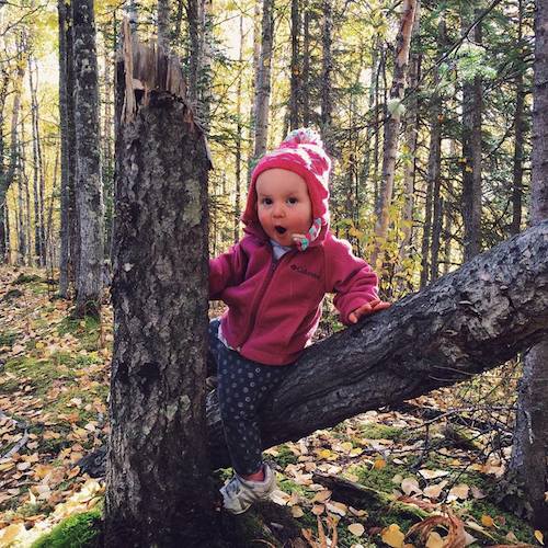 Navigating our wooded trail has made Ava quite the agile little hiker and tree climber!