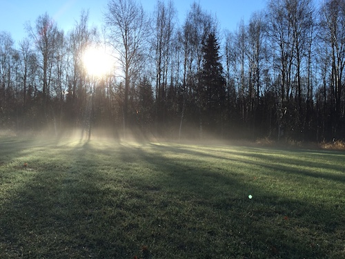 A nice field nearby where Moki and Ava can both be free to run...as long as there aren't moose around.