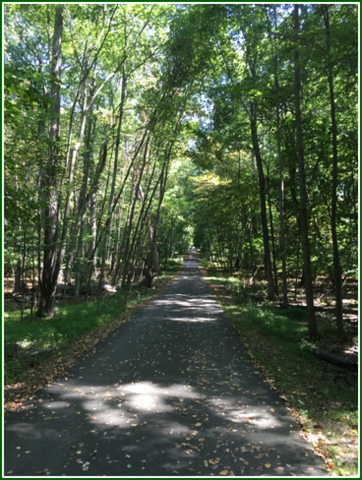 The pathways at Fairfield Hills are so peaceful.