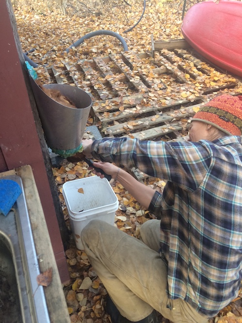 Thank you, chicken, for our future delicious meals.