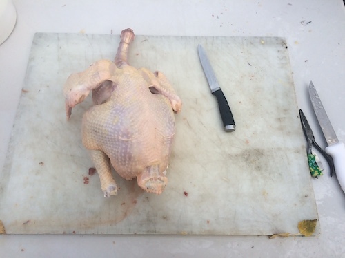 A chicken ready to be cleaned.