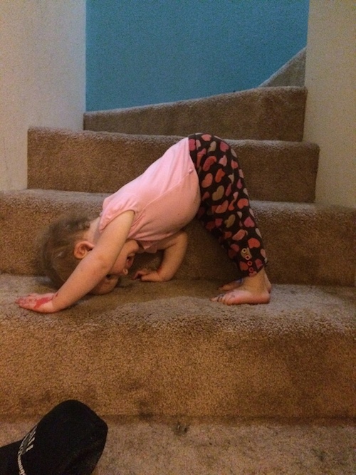 Ava the Yogi loves the carpeted stairs.