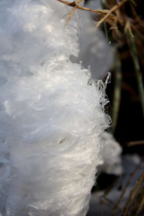 IMG_2167-001