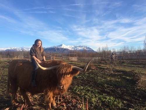 Maybe (the steer) knows how to say no without the guilt.