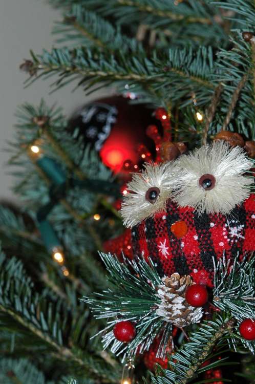 Christmas 2015 2015-12-026
