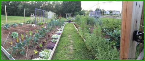 A panoramic of the garden early in the season.