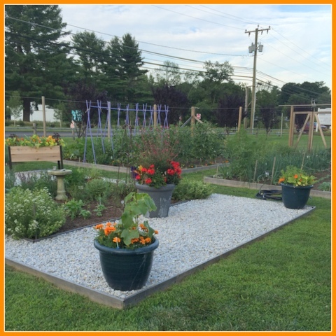 Another view of the Demo Garden